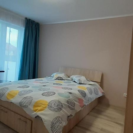 Studio Ultracentral Cu Balcon オネシュティ エクステリア 写真
