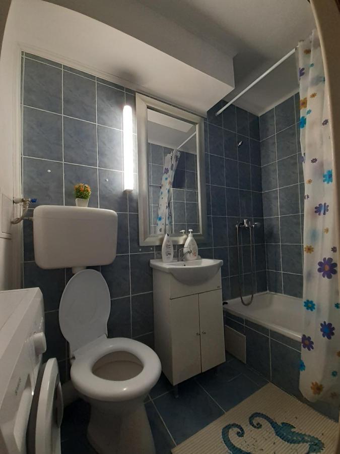 Studio Ultracentral Cu Balcon オネシュティ エクステリア 写真